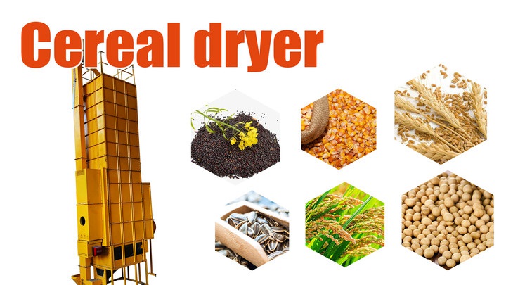 Cereal dryer