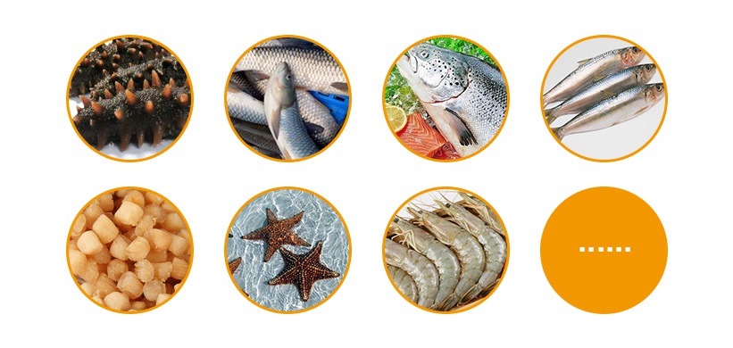 Applications of fish dryer