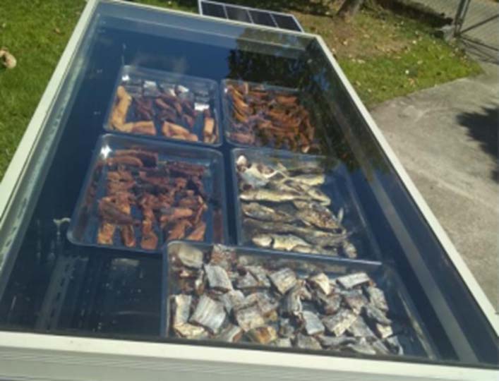Dried fish in solar dryer