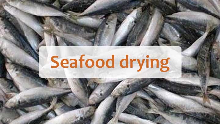 Cover-seafood drying