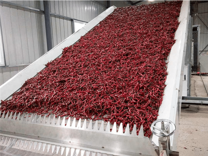 Pepper drying process