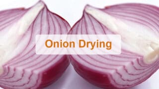 Enhance onion drying efficiency with onion drying equipment