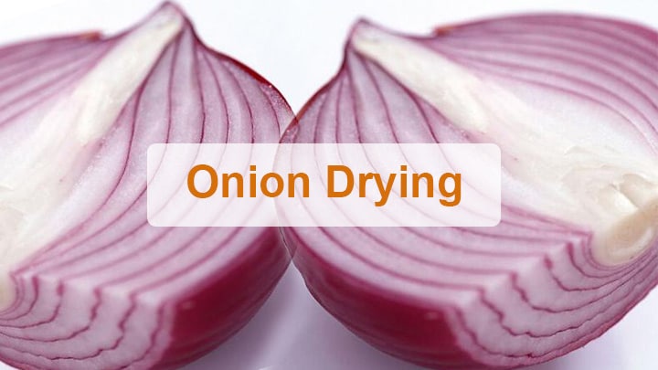 Cover-onion drying