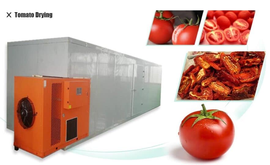 Tomato drying machine
