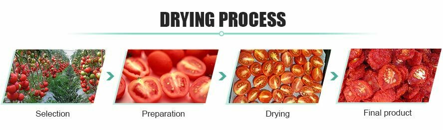 Tomato drying process