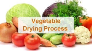 The common vegetable drying process