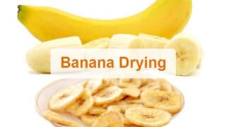 The drying process of banana chips with banana drying machine