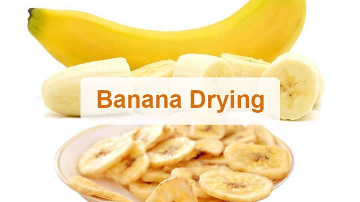 Banana drying