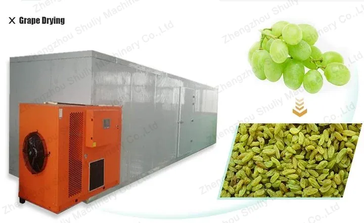Can a grape drying machine be used for other fruits as well?